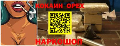 мдпв Кингисепп