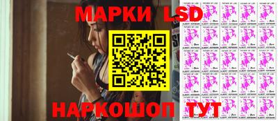 мдпв Кингисепп