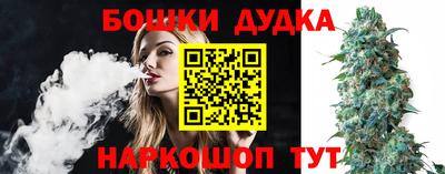 мдпв Кингисепп