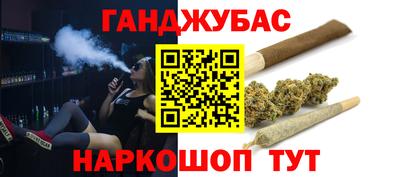 мдпв Кингисепп
