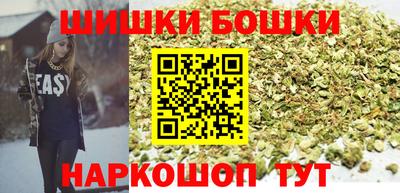 мдпв Кингисепп