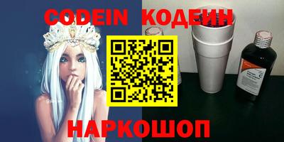 мдпв Кингисепп