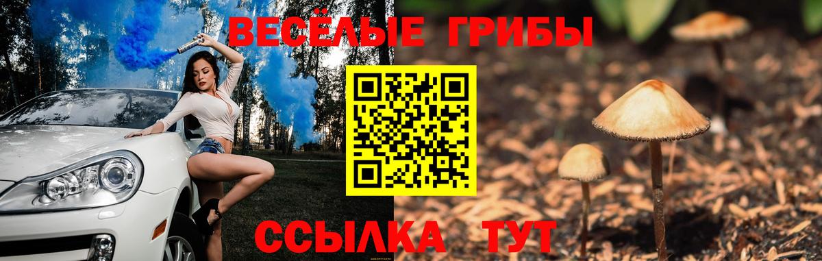Псилоцибиновые грибы мицелий  Галлюциногенные грибы Cubensis  Нефтекамск  Вход с VPN 